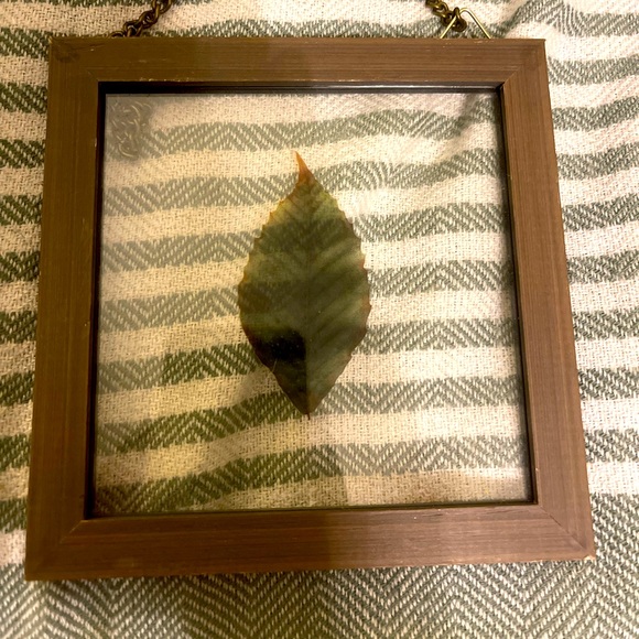 2 Leaf Pressings in Glass with Wooden Frames - Picture 3 of 4